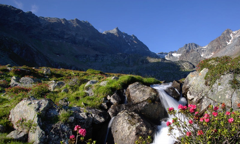Das wunderschöne Ötztal mit seinen schroffen Bergen und schönen Blumen